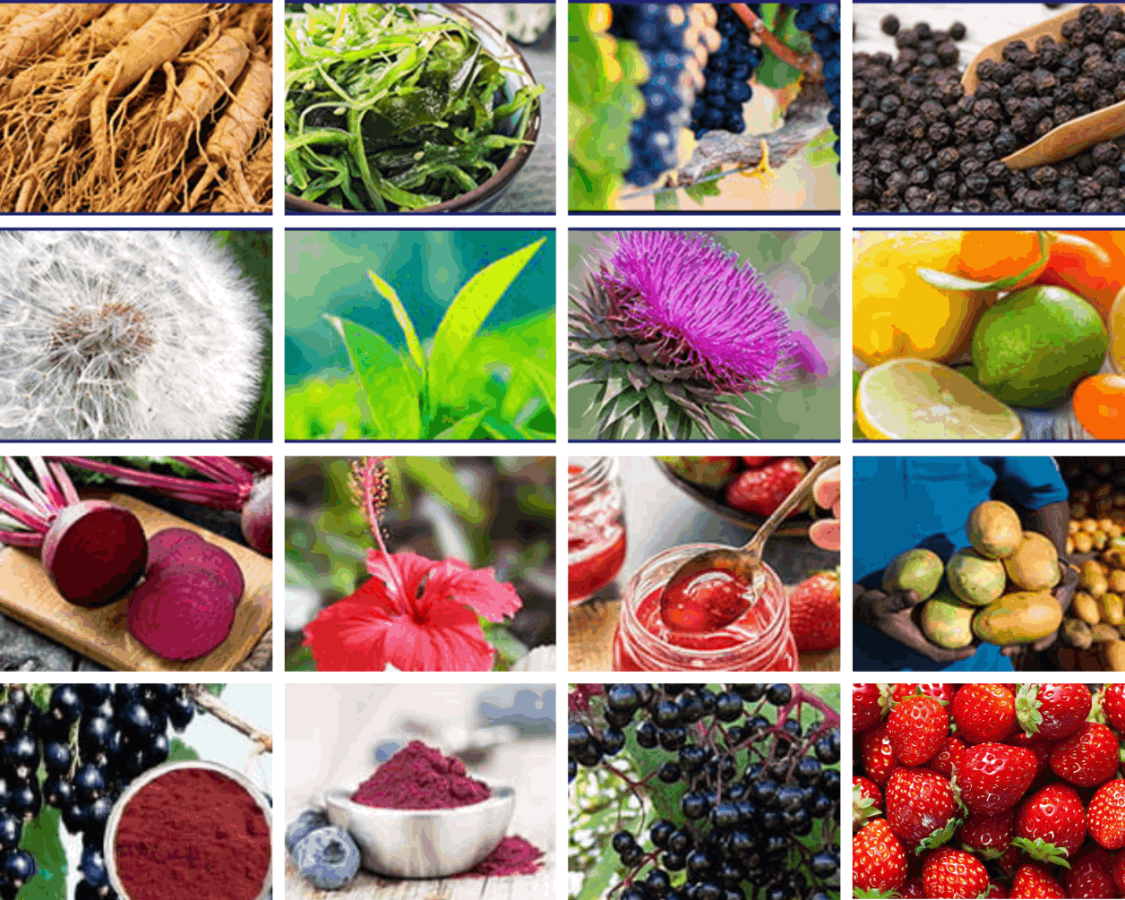 Ikaria-juice-ingredients